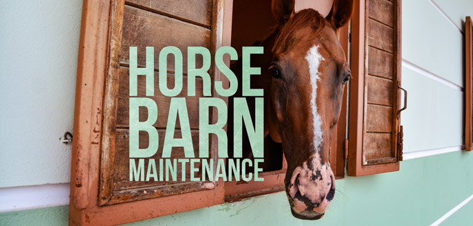 Barn Maintenance 101: Essential Tasks for Keeping Your Barn in Top Shape