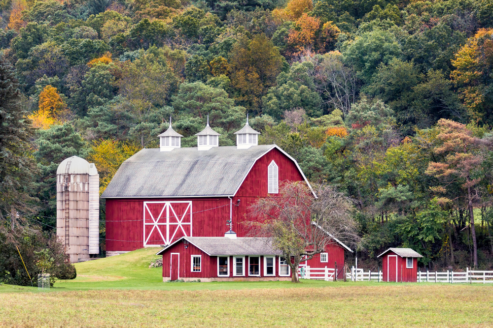 Why Are Barns Red and Houses White?