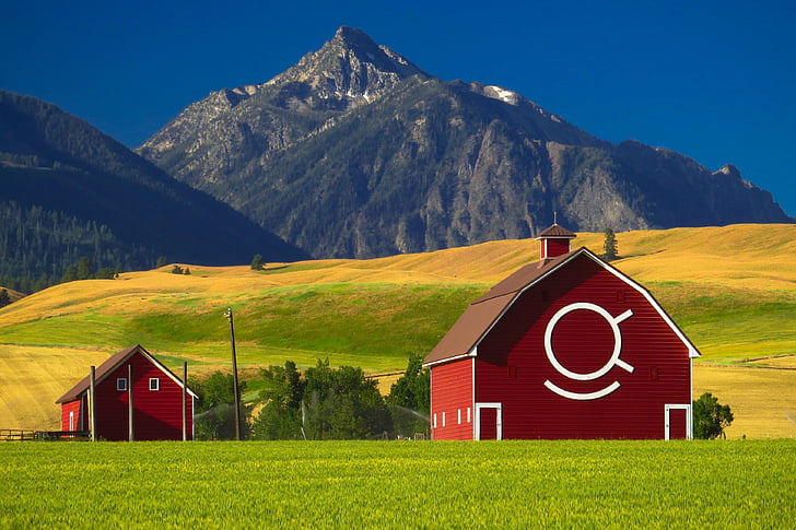 why are farm houses red